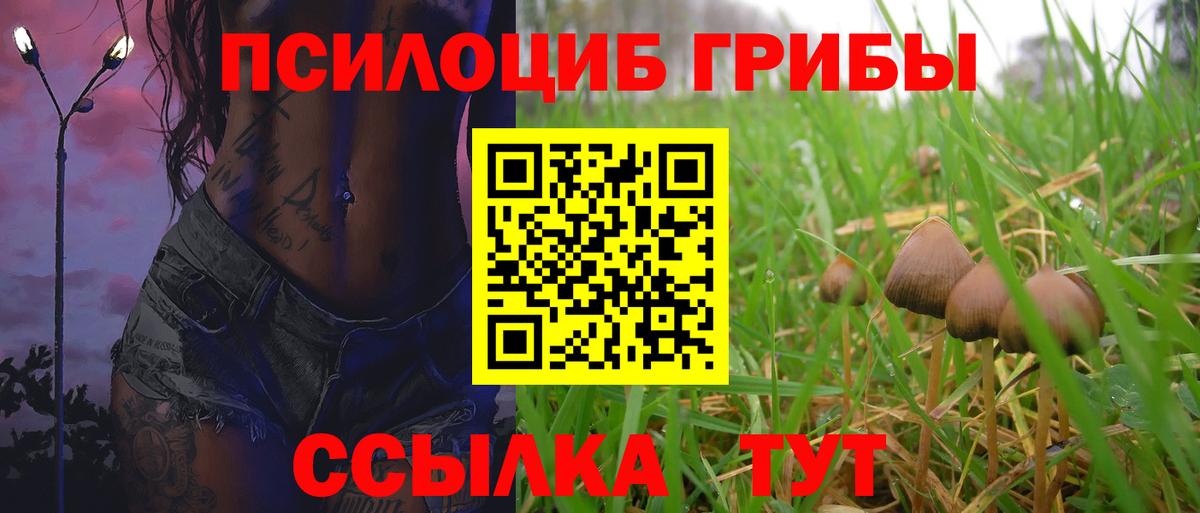 закладка  Галлюциногенные грибы ЛСД  Вход с VPN  Псилоцибиновые грибы GOLDEN TEACHER  Красноярск 